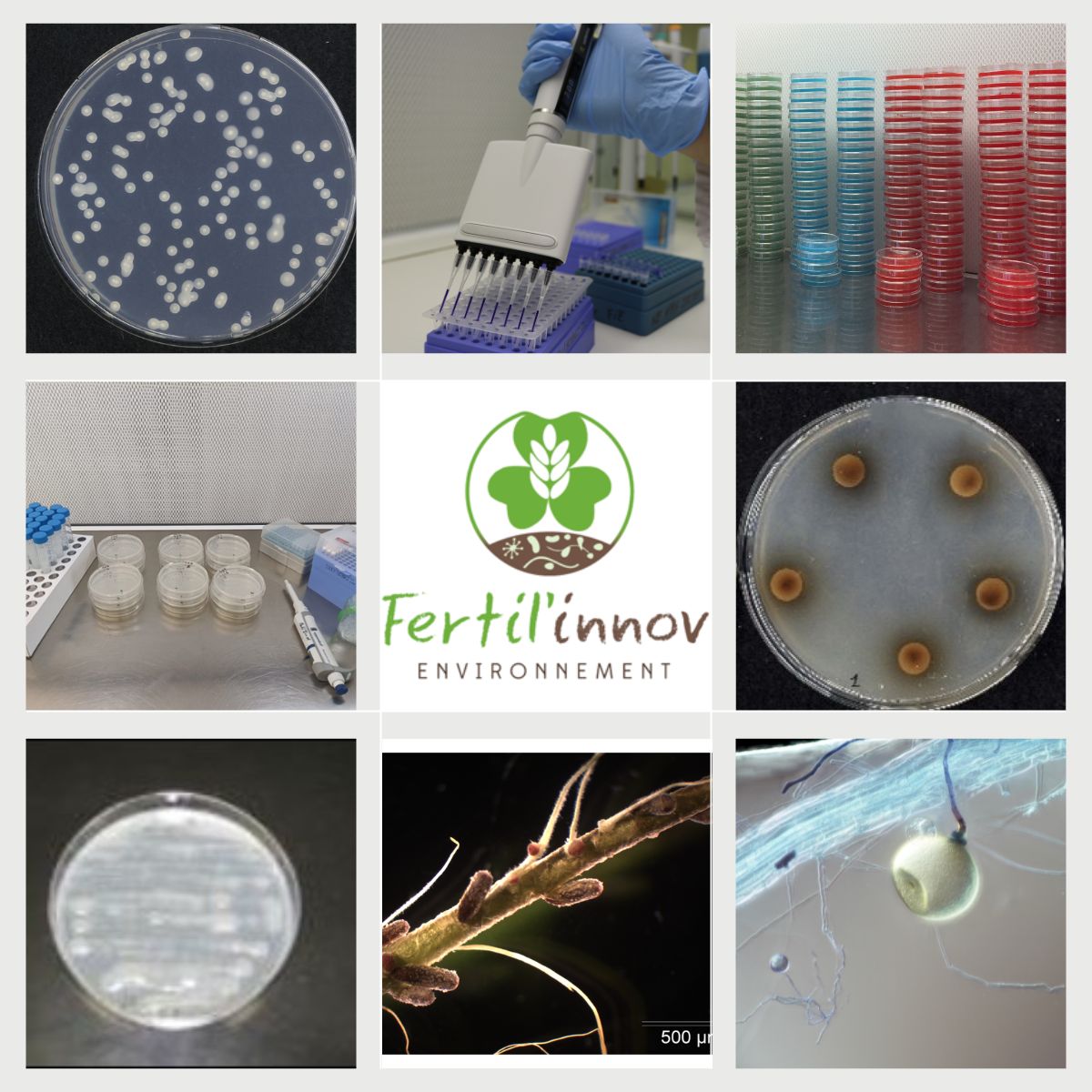 Analyse de biostimulants en laboratoire